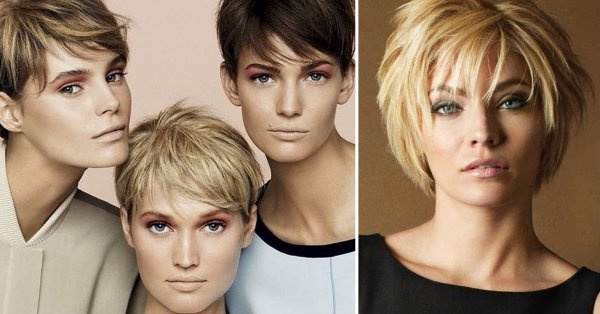 Модельная стрижка женская