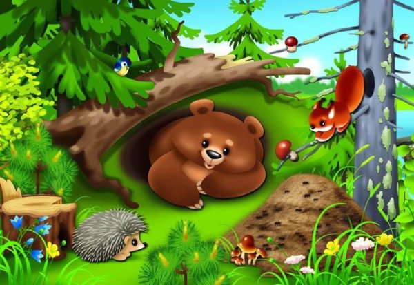 Звери в лесу для детей дошкольного возраста