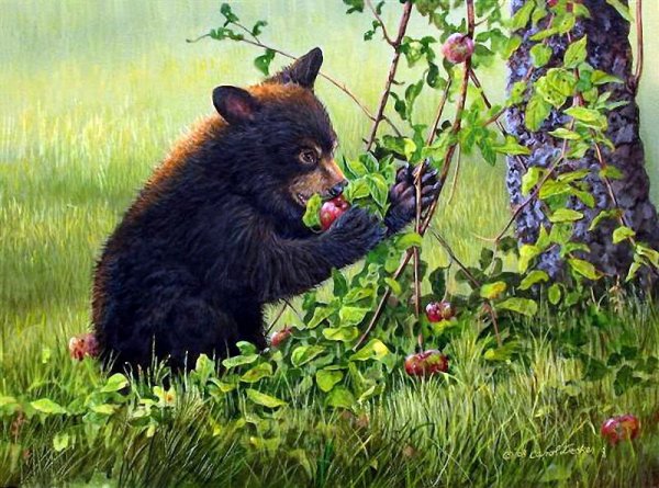 Кэрол Декер художник