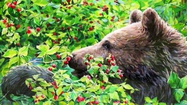 Медведь в малиннике