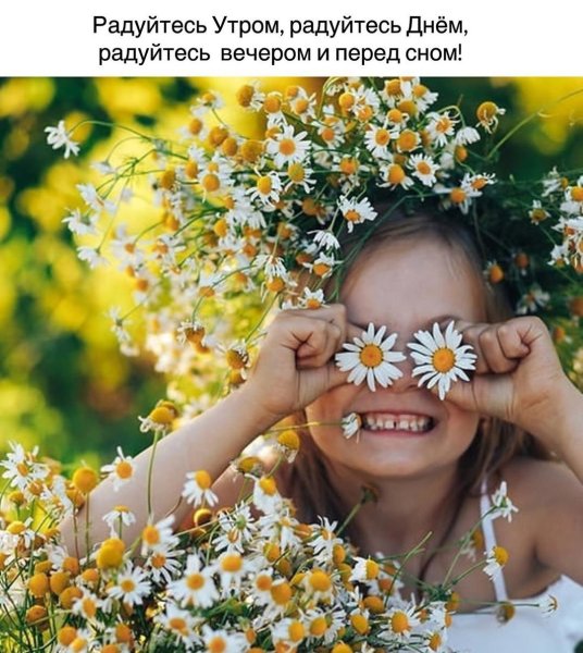 Солнечный цветок