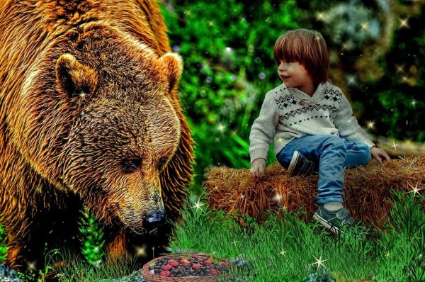 Медведь для детей