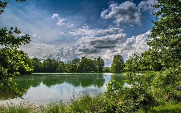 Природа лето река лес озеро