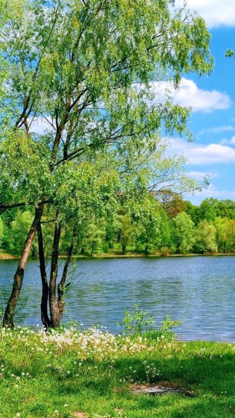 Озеро летом