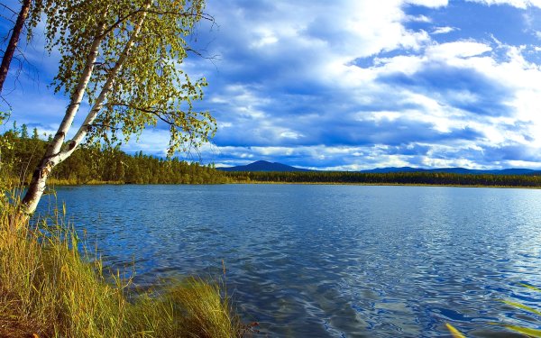 Деревенский дом лавочка деревня река