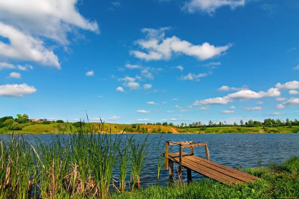 Горы лес озеро река Поляна