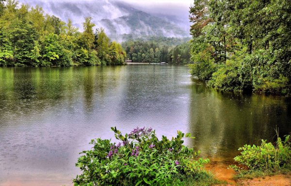 Озеро Дивное Балашиха