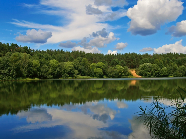 Лесное озеро Пензенская область