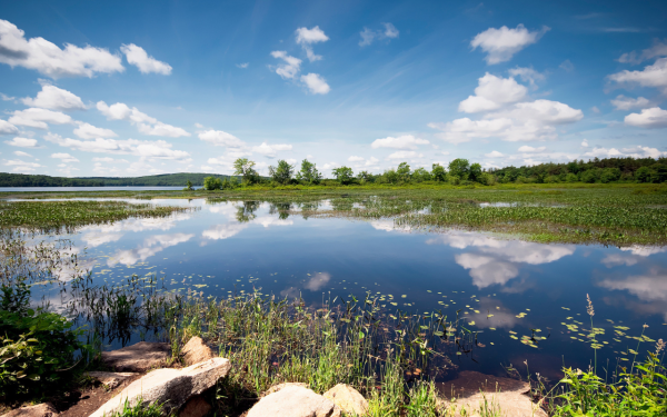 Река Разварня Истринский район