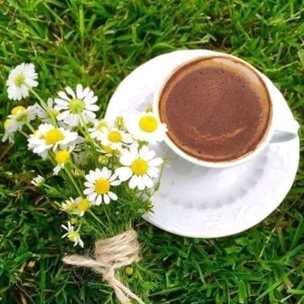 Чашка кофе и ромашки