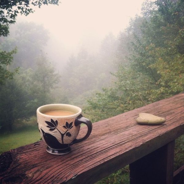 Чашка кофе на природе