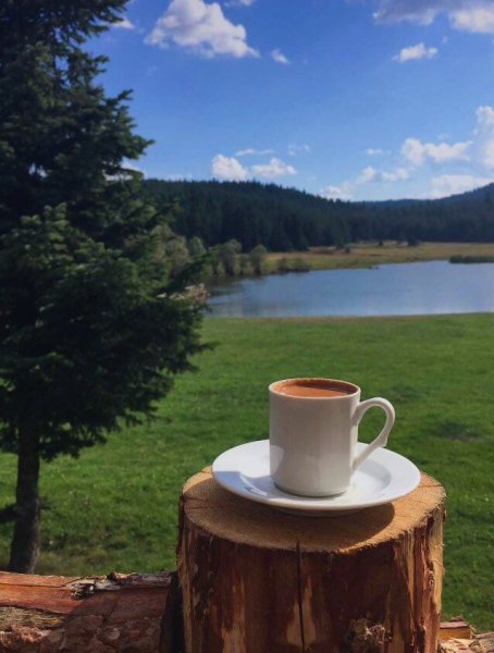 Кружка кофе на природе