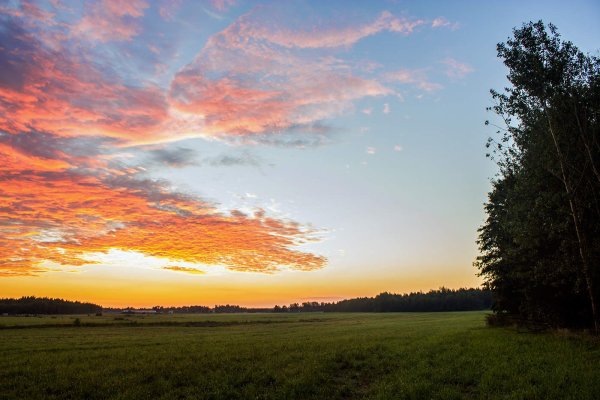Память о лете