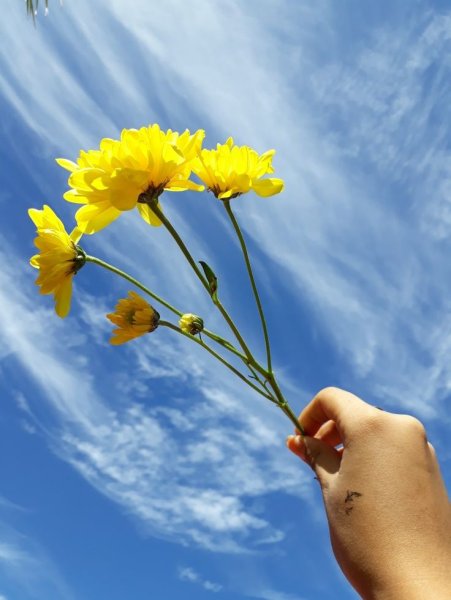 Яркие воспоминания из лета