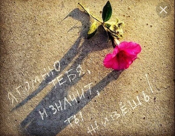 Стихи про лето