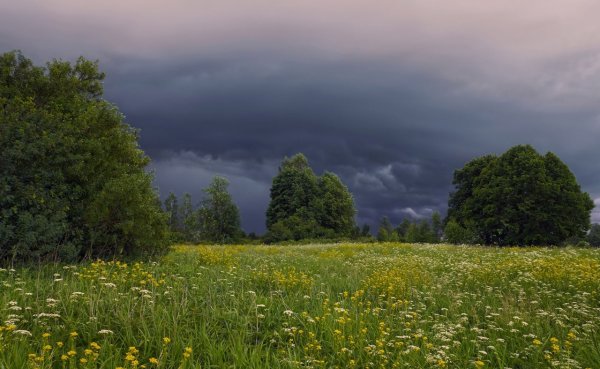 Жаркое лето природа
