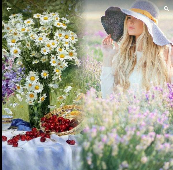 Картинки на рабочий стол бабочки