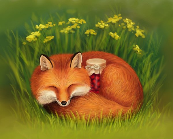 Лиса зимой и летом для дошкольников