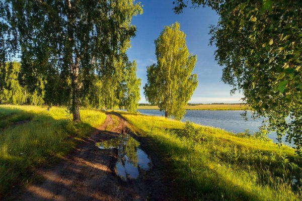 Родные просторы Пушгоры панорама