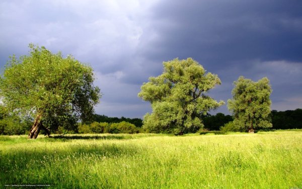 Русская природа