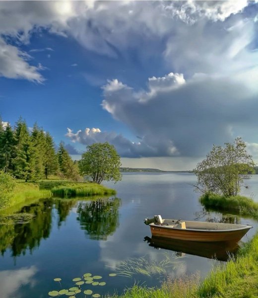 Красивый луг