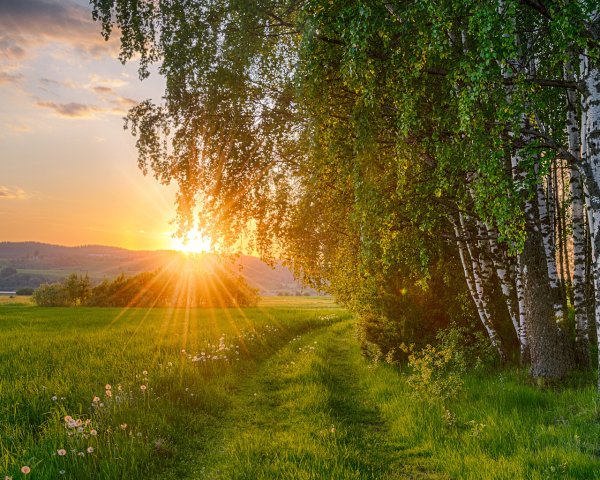 Русская природа