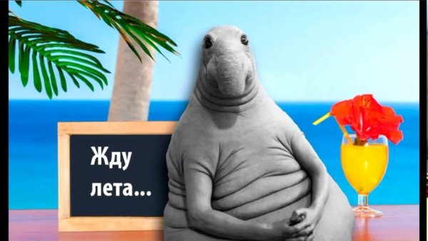 Лето уже скоро