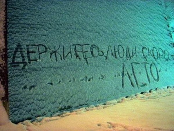 Шутки про лето