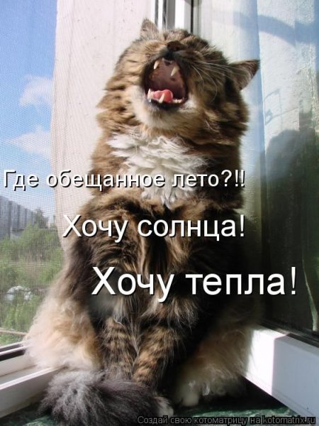 Про июль высказывания