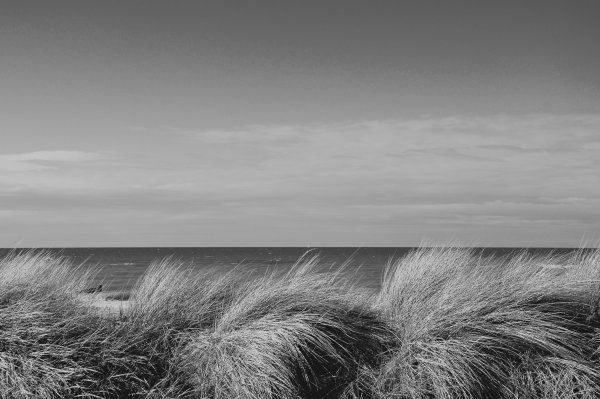 Ветер на море