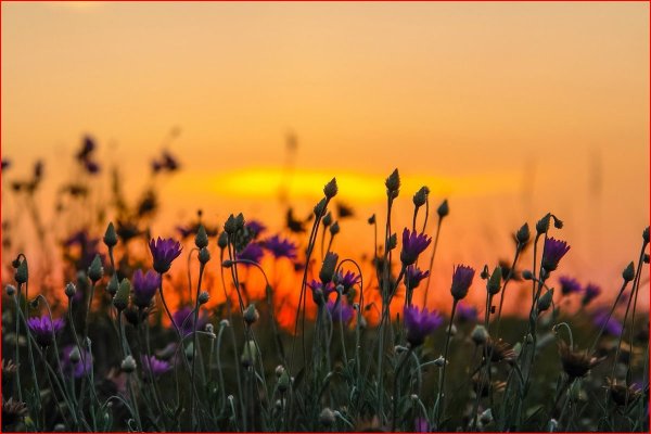 Летний закат