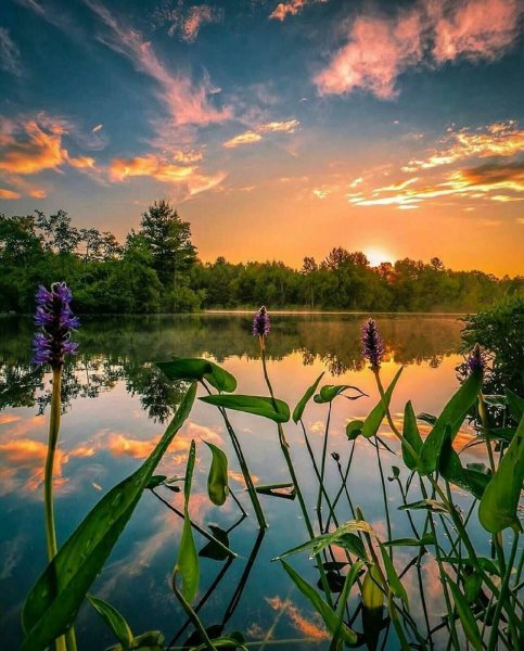 Летний закат в деревне