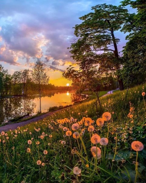 Рассвет на реке