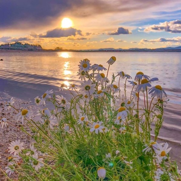 Осенний закат