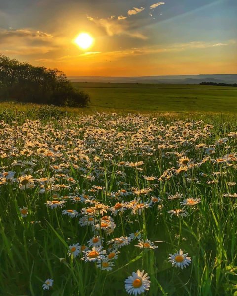 Природа солнце