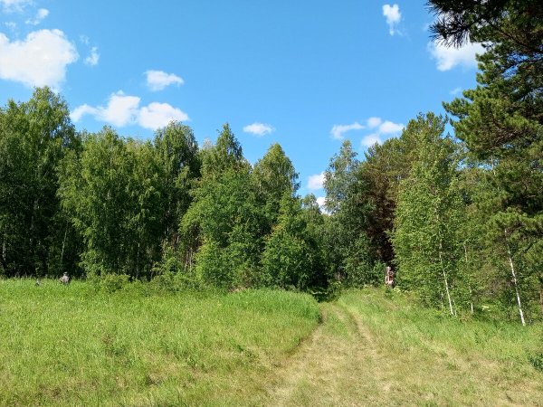 Жители леса
