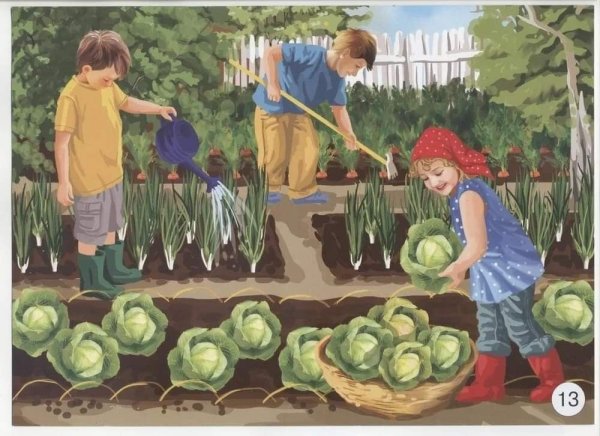 Собирать урожай в огороде