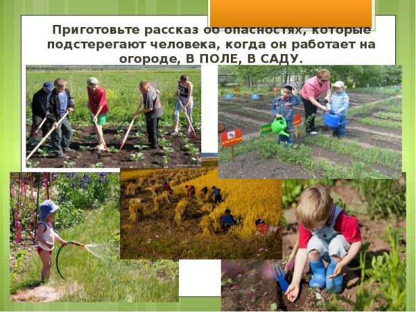 Деятельность человека летом