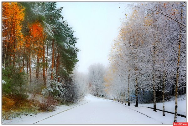 Встреча осени и зимы