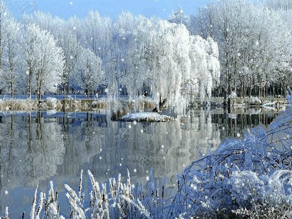 Белый снег фото