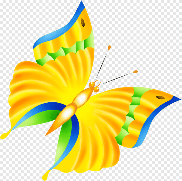 Эмблемы летнего отдыха на пляже