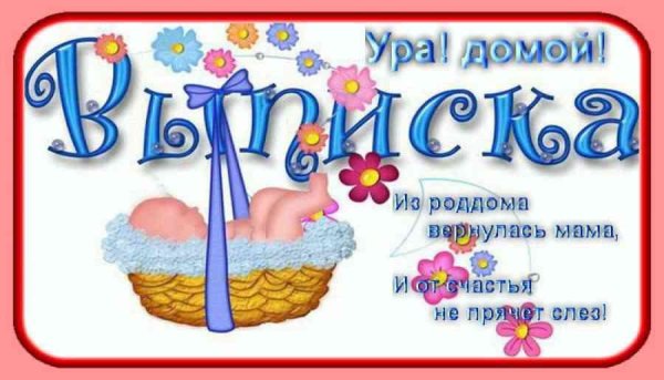 Аист с малышом