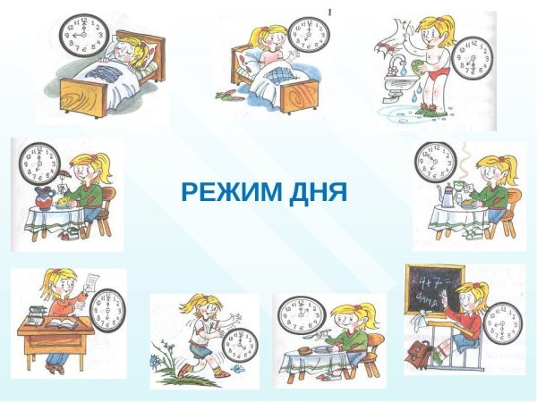 Распорядок дня иллюстрация