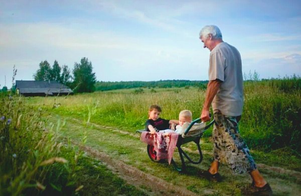 Внуки в деревне