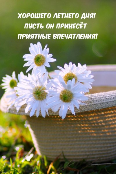 Позитивная Ромашка