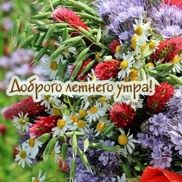 Доброе дождливое зимнее утро