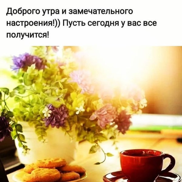 Холод собачий