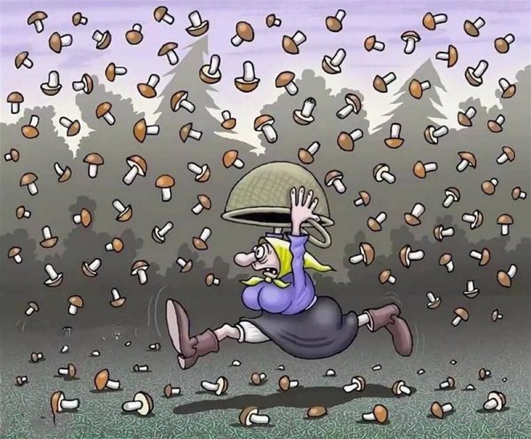 Шутки про дождь