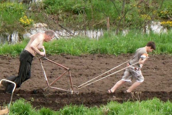 Женщина на грядке