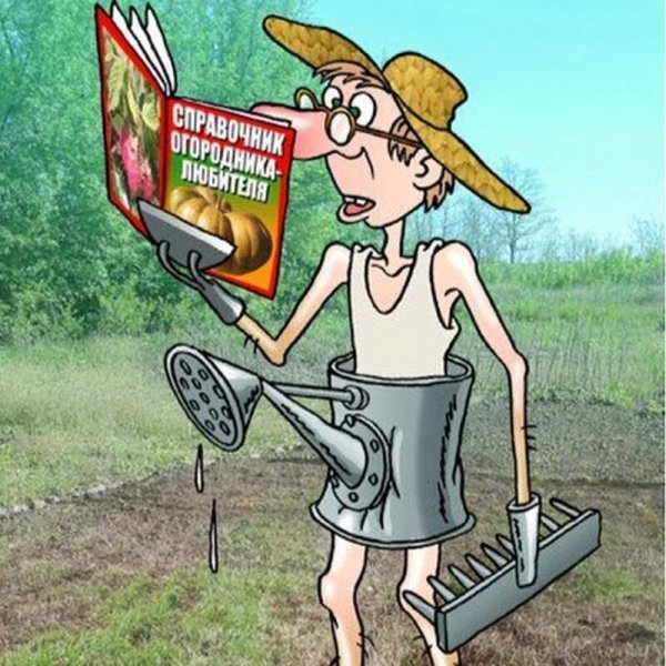 Хорошо на даче летом